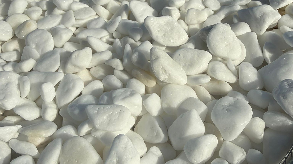 P1110567-scaled kopia